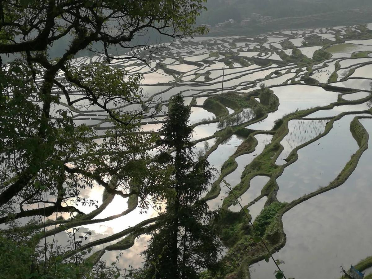Hotel 多依湾客栈havre De Paix Duoyiwan Yuanyang  Esterno foto